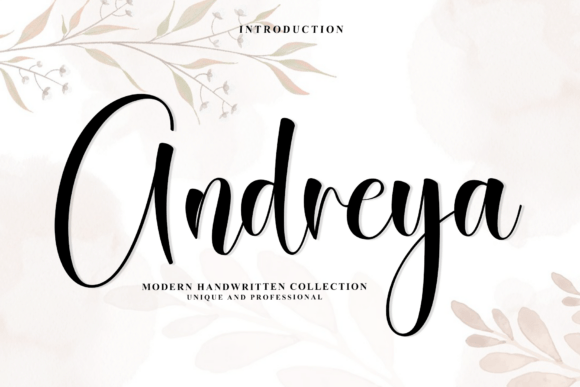 Transform Your Brand with Andreya
