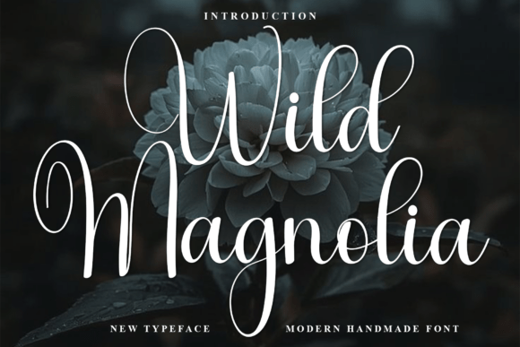 Wild Magnolia